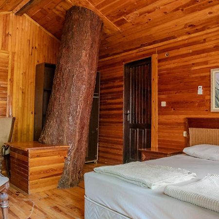 Kadir'S Top Tree Houses Olympos Bagian luar foto