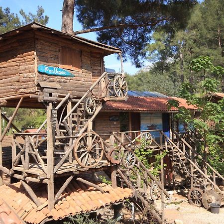 Kadir'S Top Tree Houses Olympos Bagian luar foto