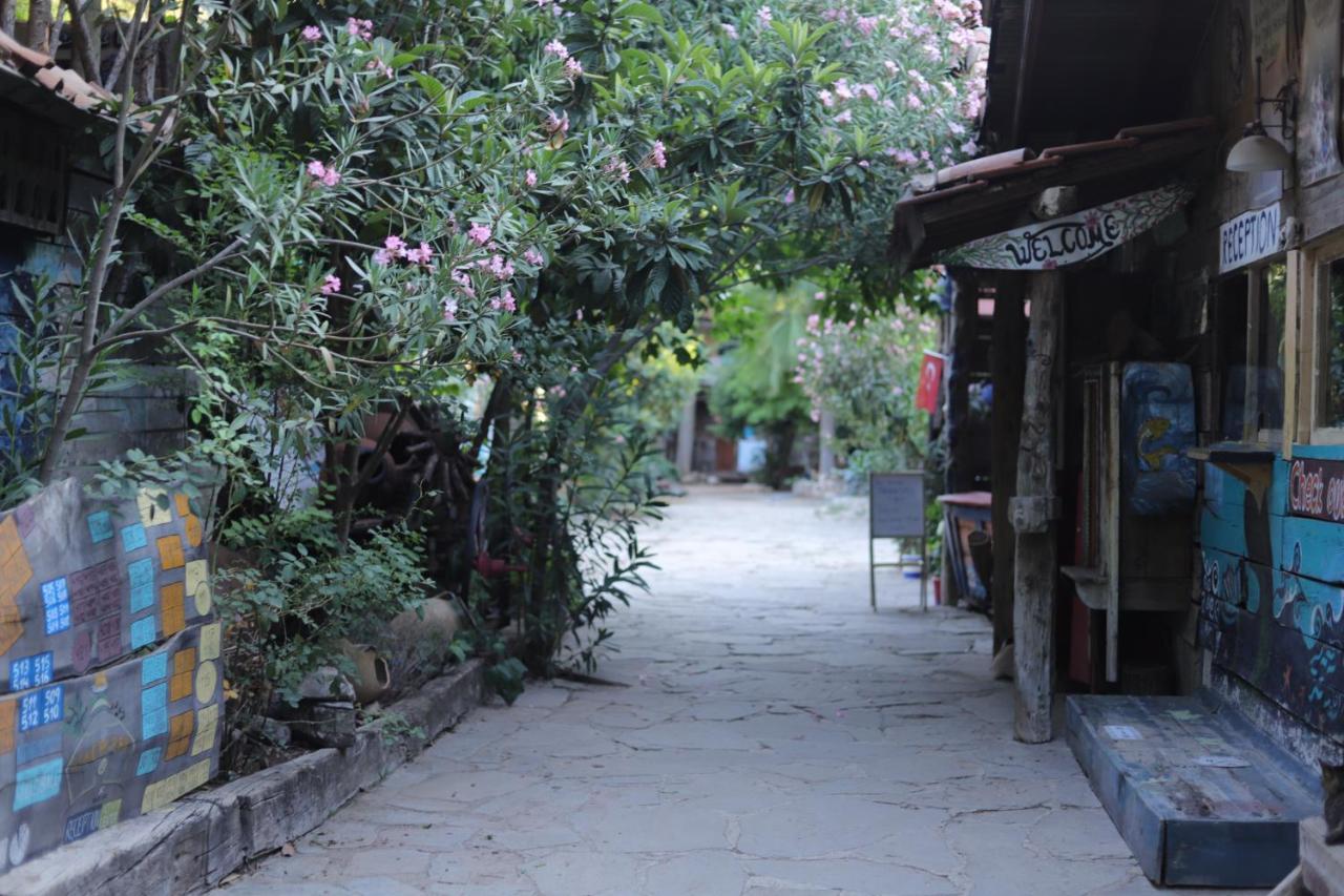Kadir'S Top Tree Houses Olympos Bagian luar foto