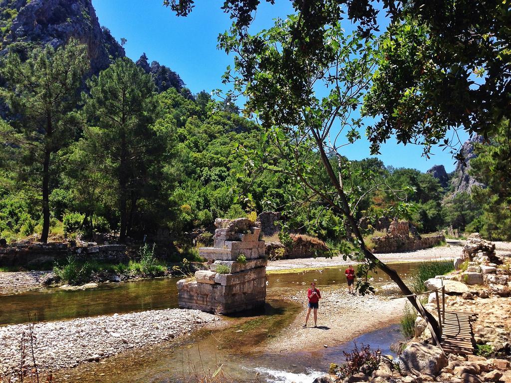 Kadir'S Top Tree Houses Olympos Bagian luar foto