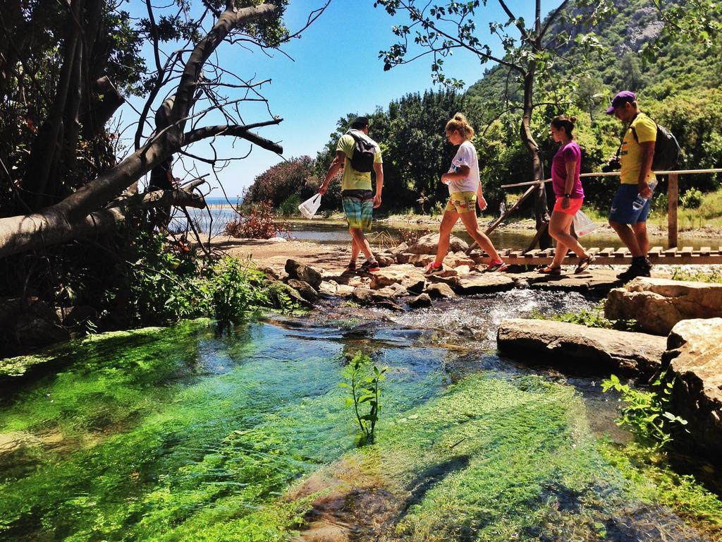 Kadir'S Top Tree Houses Olympos Bagian luar foto