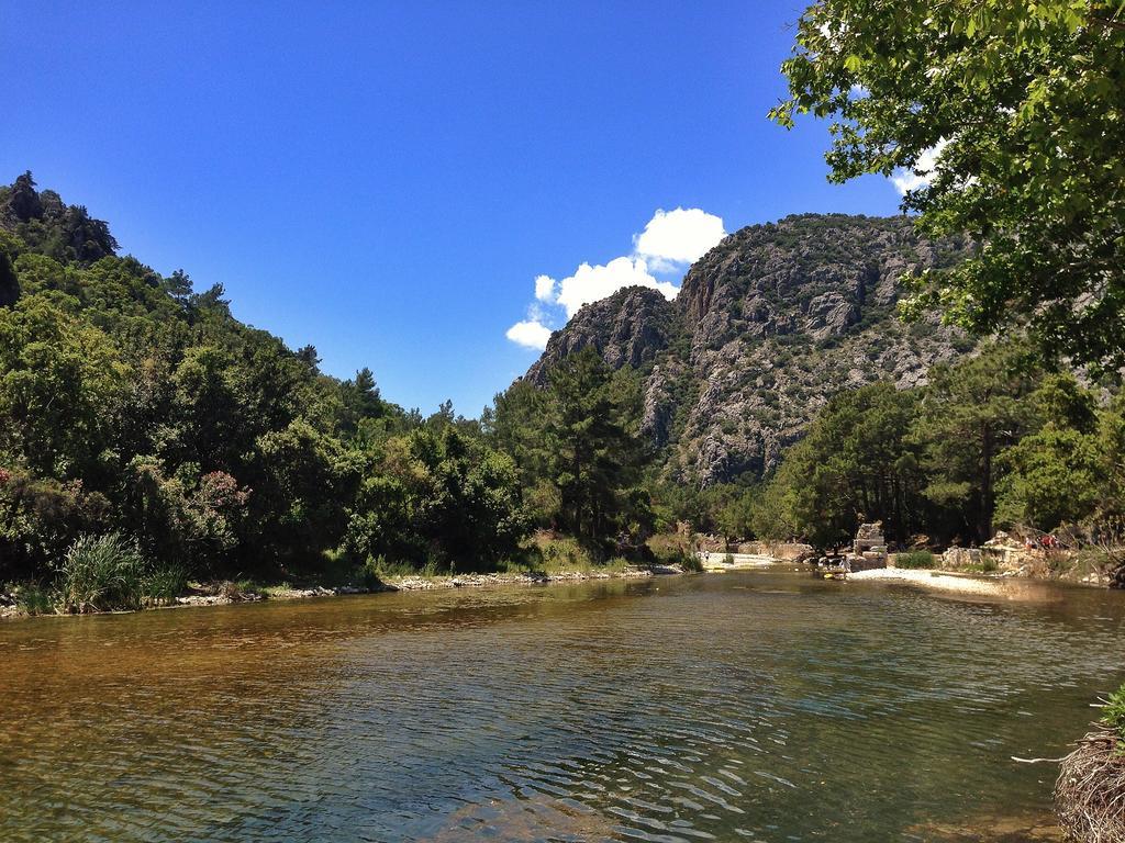 Kadir'S Top Tree Houses Olympos Bagian luar foto