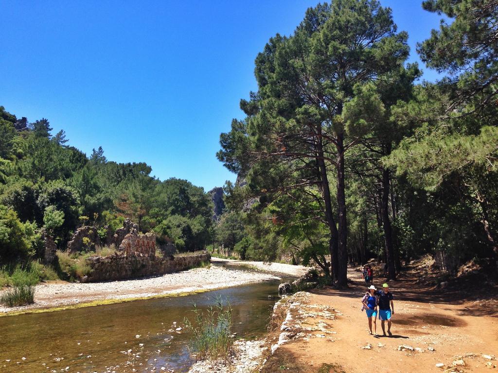 Kadir'S Top Tree Houses Olympos Bagian luar foto