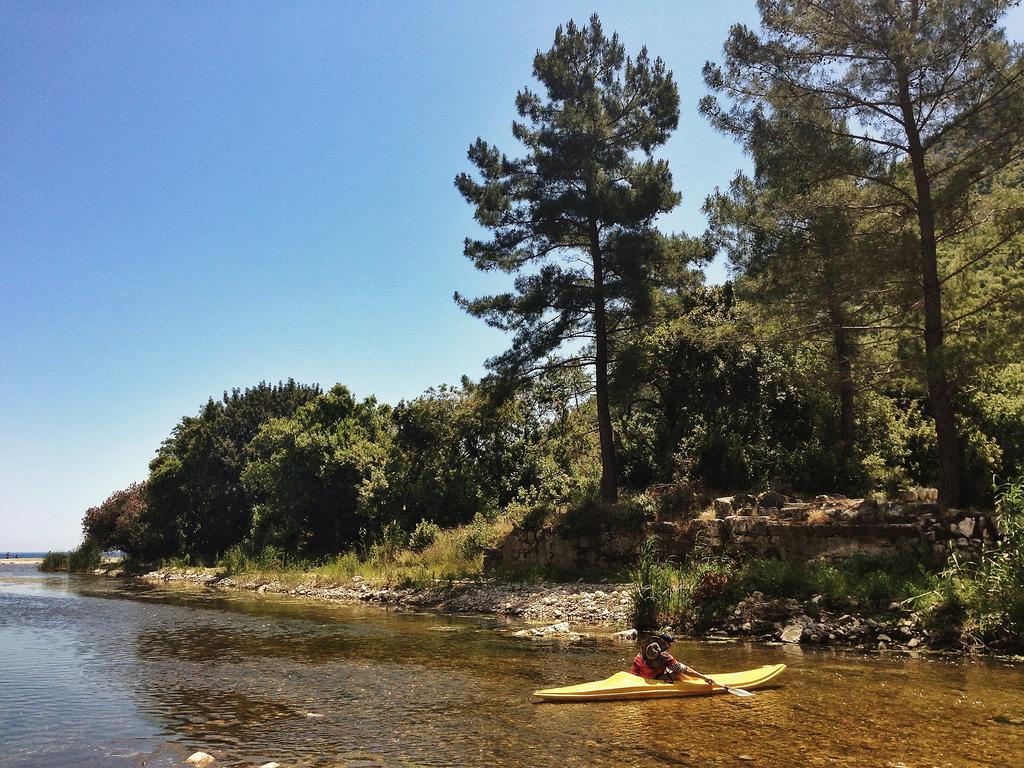 Kadir'S Top Tree Houses Olympos Bagian luar foto