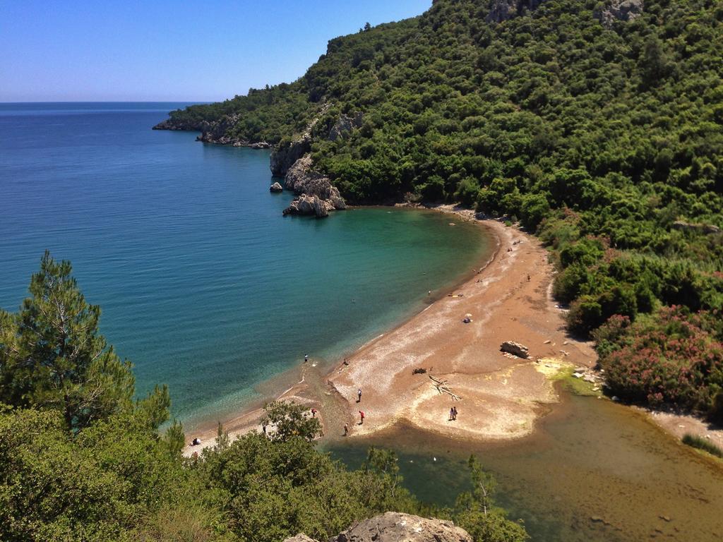 Kadir'S Top Tree Houses Olympos Bagian luar foto