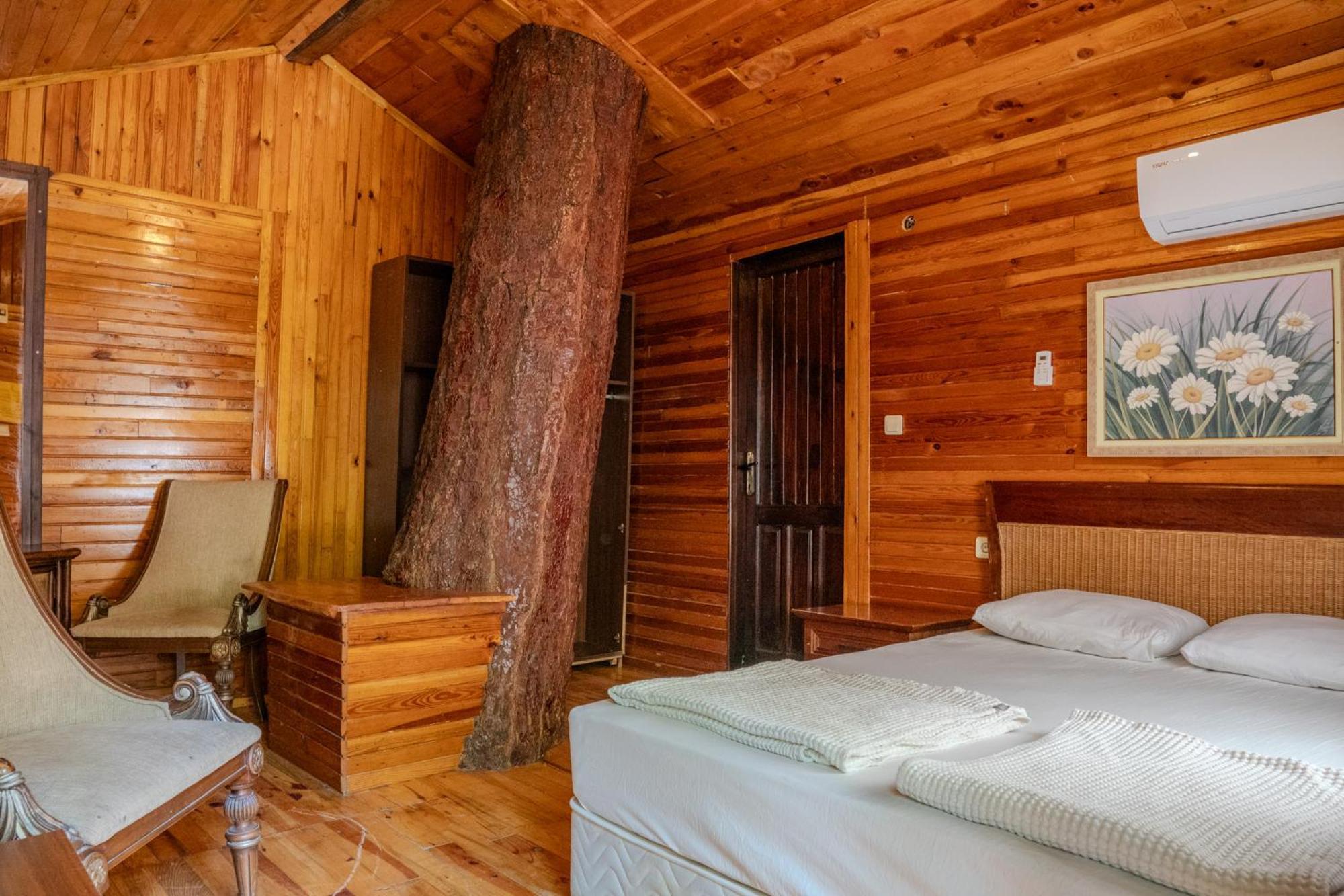 Kadir'S Top Tree Houses Olympos Bagian luar foto