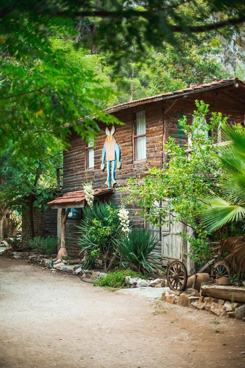 Kadir'S Top Tree Houses Olympos Bagian luar foto
