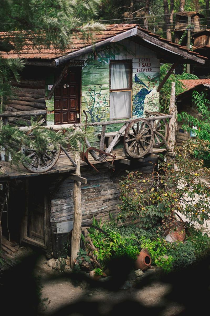 Kadir'S Top Tree Houses Olympos Bagian luar foto