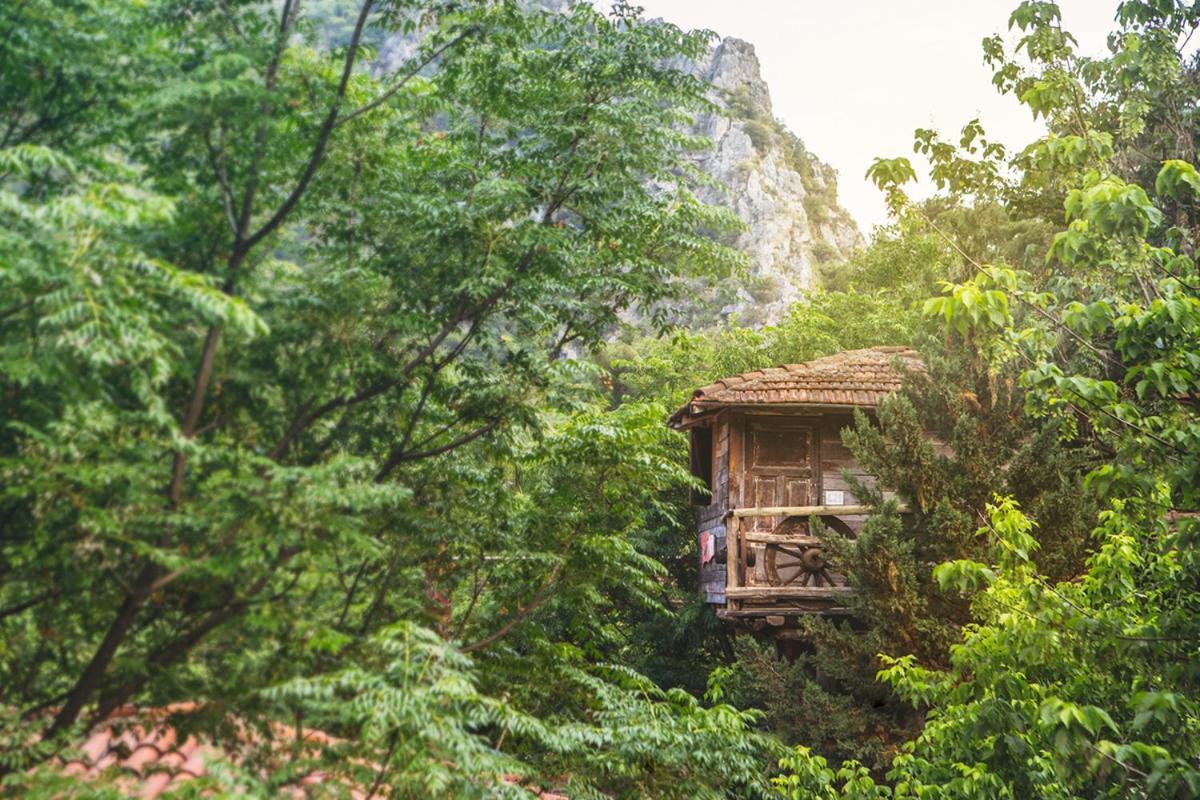 Kadir'S Top Tree Houses Olympos Bagian luar foto