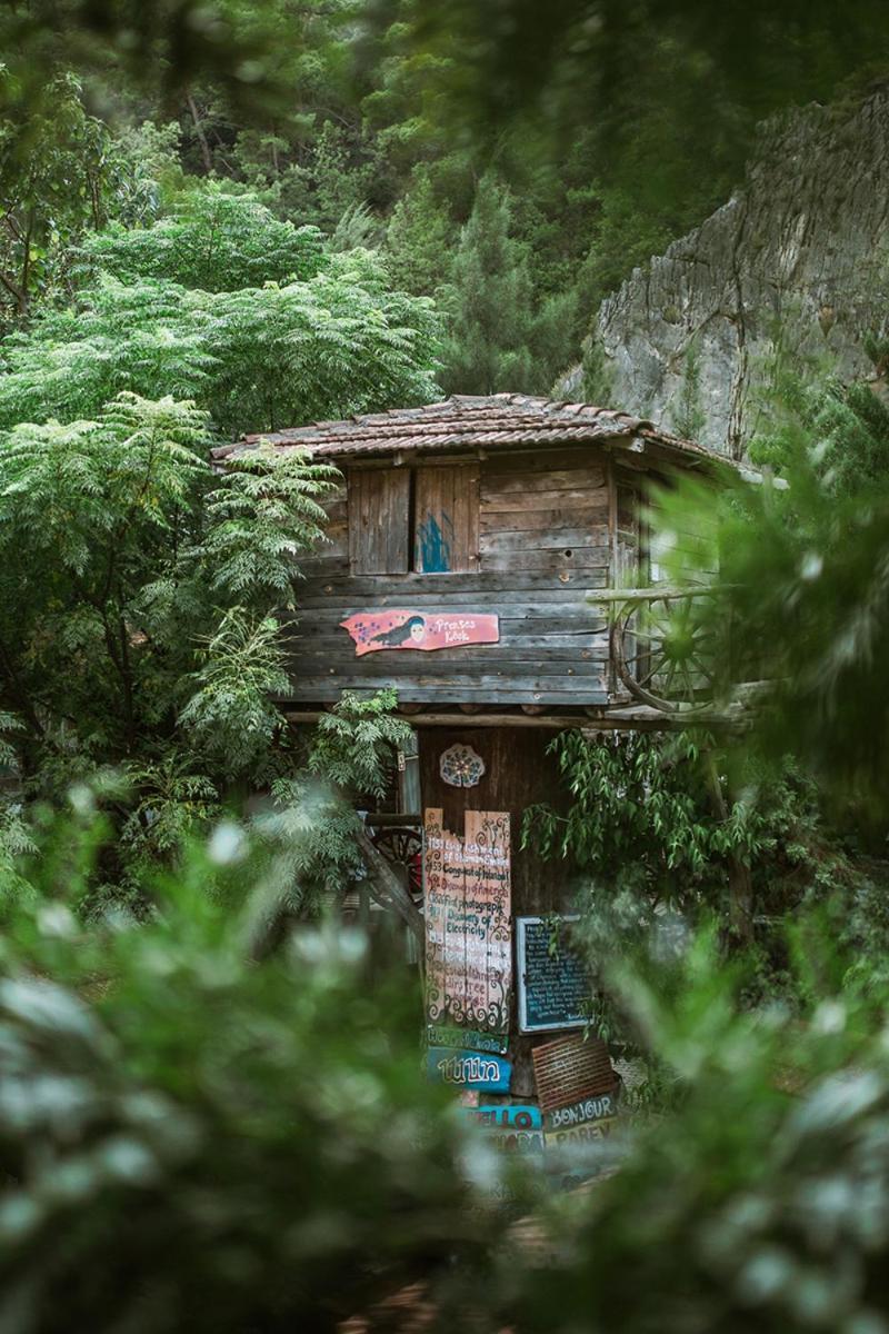 Kadir'S Top Tree Houses Olympos Bagian luar foto