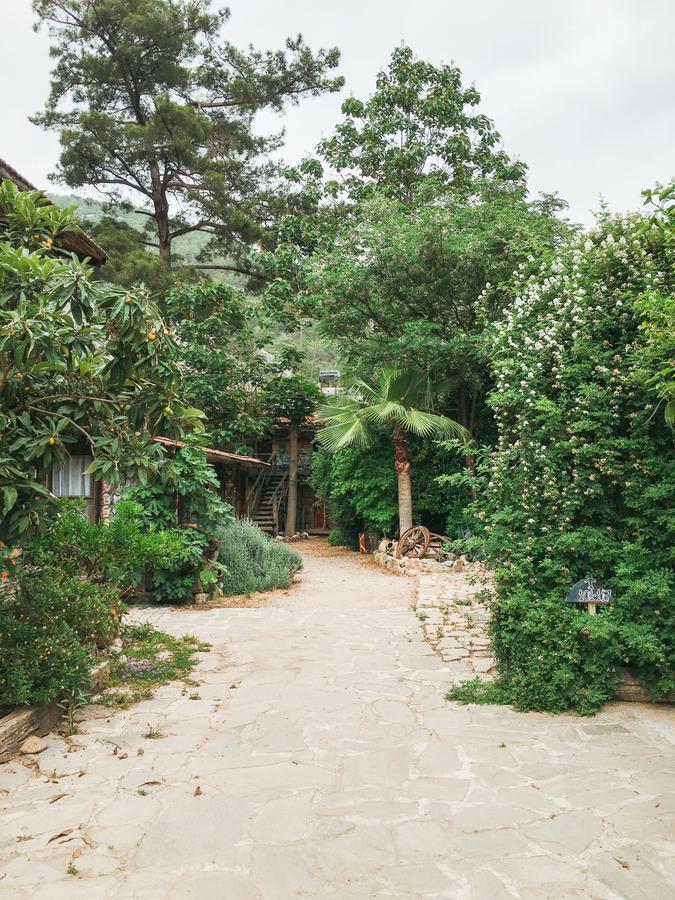 Kadir'S Top Tree Houses Olympos Bagian luar foto