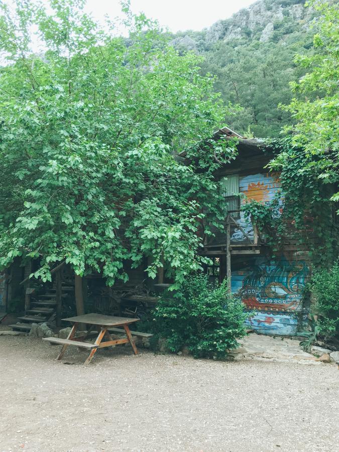 Kadir'S Top Tree Houses Olympos Bagian luar foto