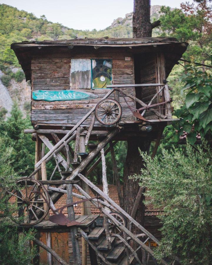 Kadir'S Top Tree Houses Olympos Bagian luar foto