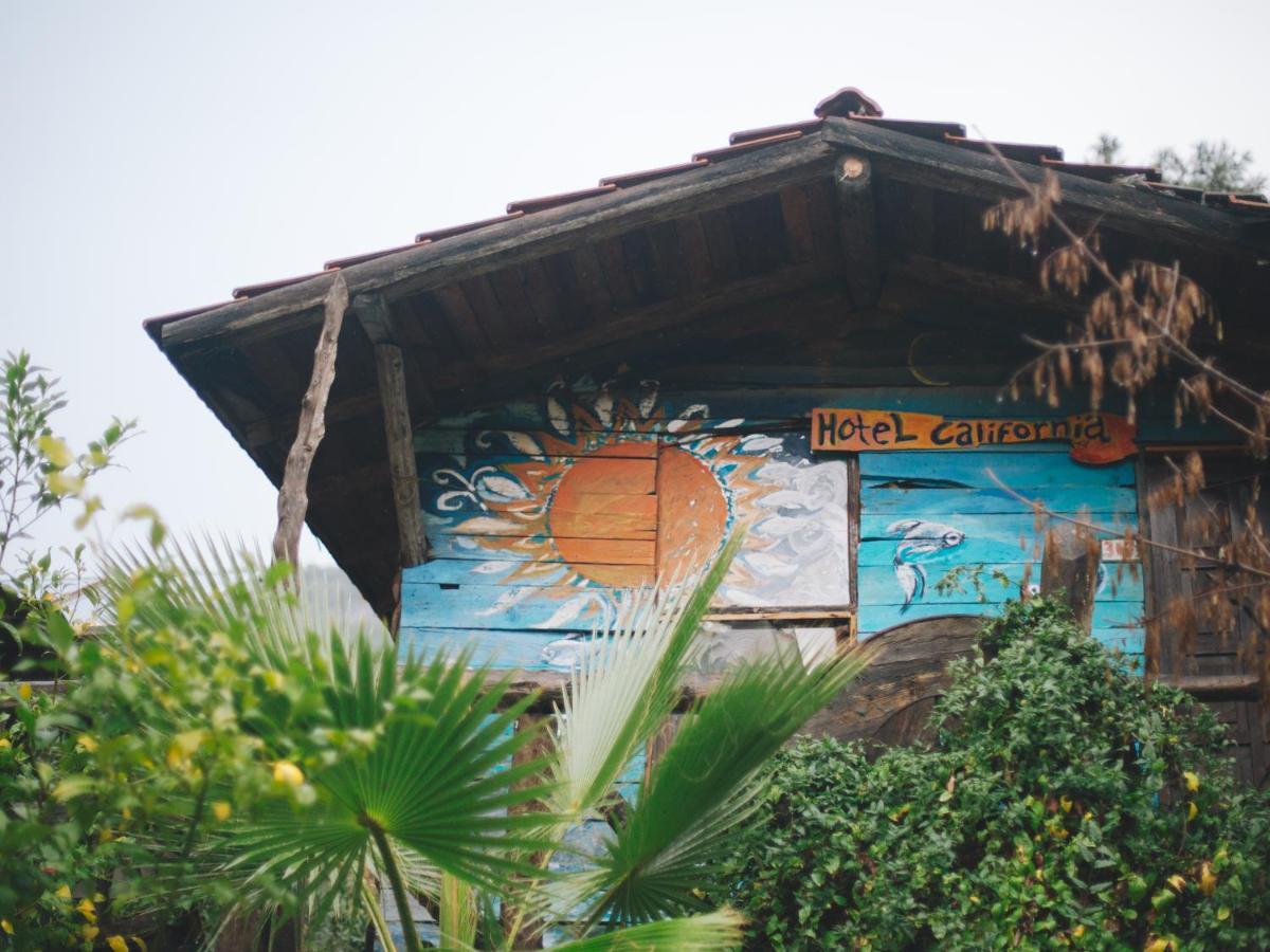 Kadir'S Top Tree Houses Olympos Bagian luar foto