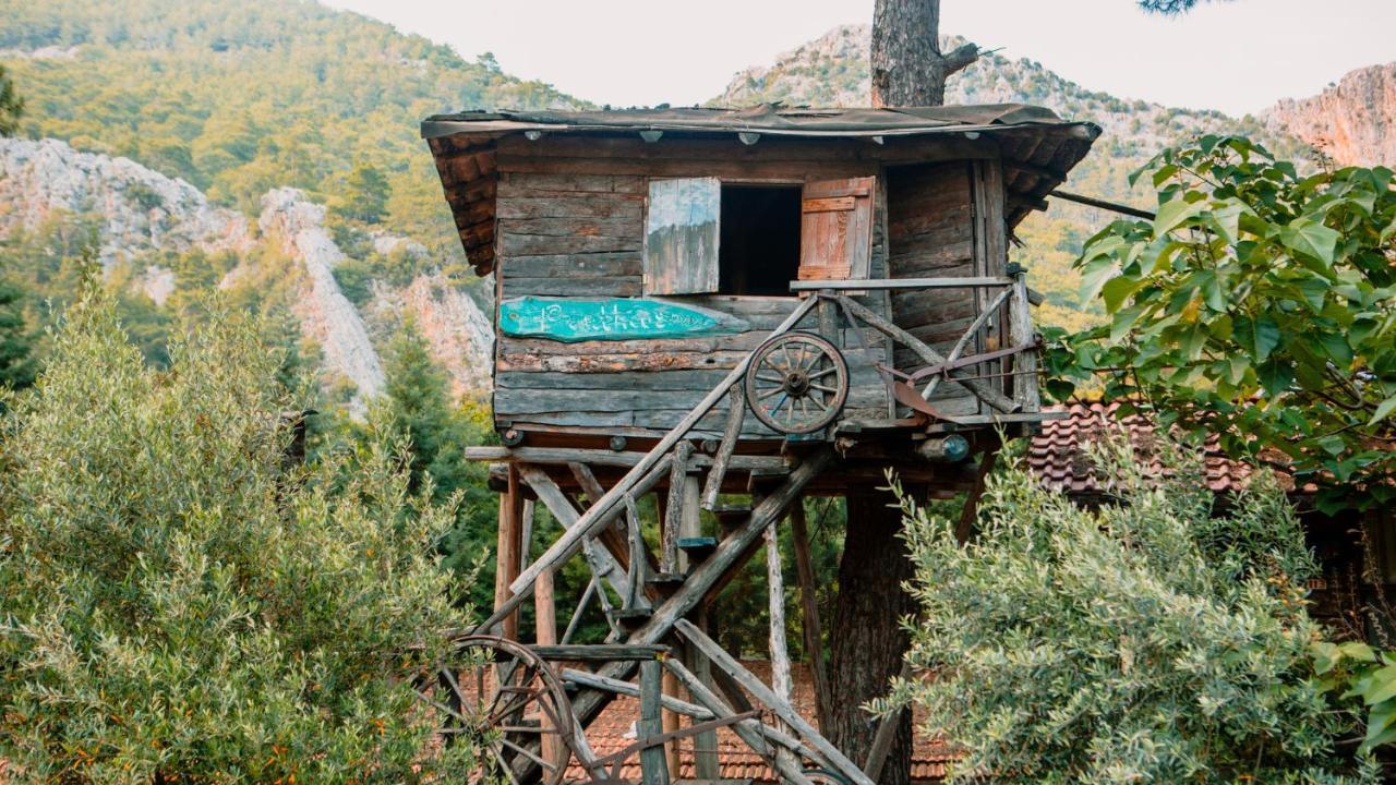 Kadir'S Top Tree Houses Olympos Bagian luar foto