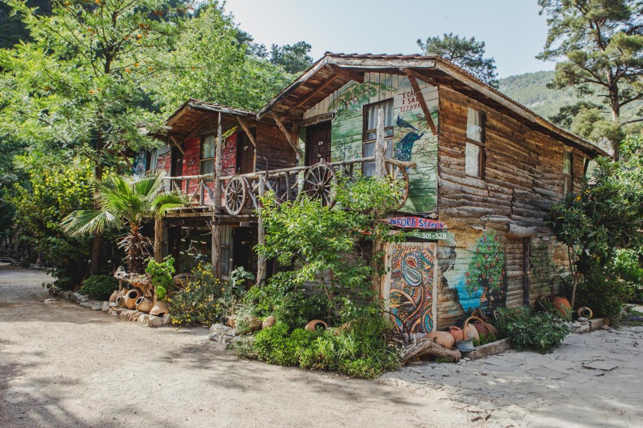 Kadir'S Top Tree Houses Olympos Bagian luar foto